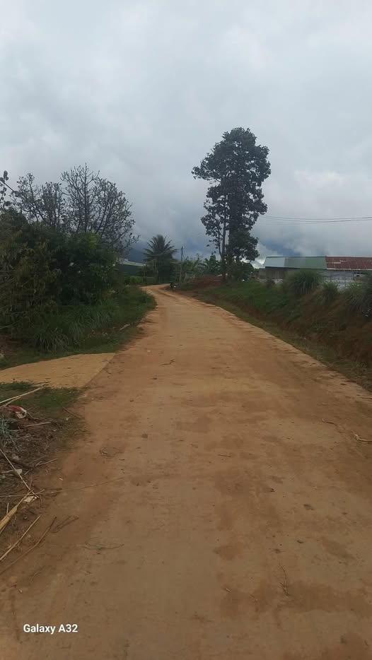 Đất nền thổ cư 3,1 sào tại Quảng Lập, Đơn Dương giá 2,2 tỷ - Đầu tư sinh lời ngay!