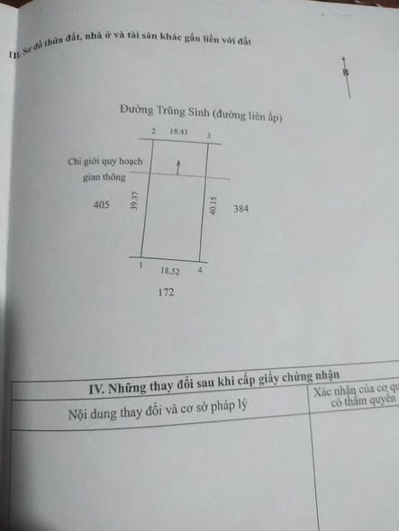 Đất mặt tiền lộ Trung Sinh, Bình Thành, 733m² giá 1.75 tỷ - Cơ hội đầu tư tuyệt vời!