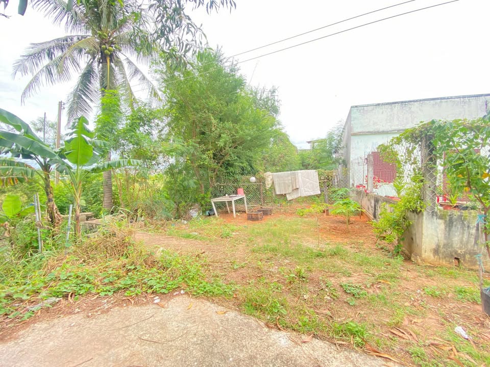 Đất thổ cư 100m² KDC Phú An, Phú Long giá 650 triệu - Pháp lý chuẩn, chuyển nhượng ngay!