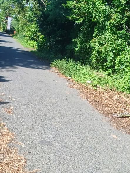 Đất thổ cư mặt tiền đường Lê Chánh, 224m² giá 700 triệu - Nhanh tay sở hữu!