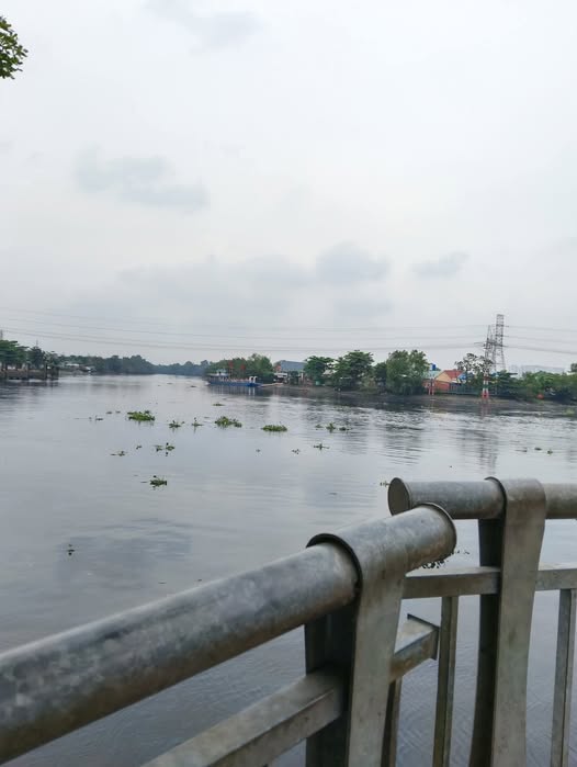 Bán lô đất mặt tiền sông Vĩnh Phú, Thuận An, Bình Dương 1.531m² - Giá thỏa thuận hấp dẫn!