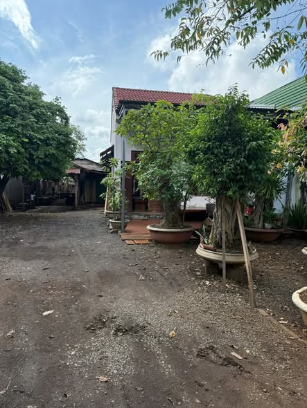 Đất hẻm cấp 1 Chu Văn Tấn, Thành Nhất 560m² giá 4.48 tỷ - Đầu tư sinh lời ngay!