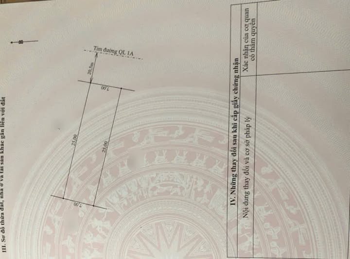 Đất nền mặt đường Quốc lộ 1A, xã Xuân Lam, 175m² - Đầu tư sinh lời ngay!