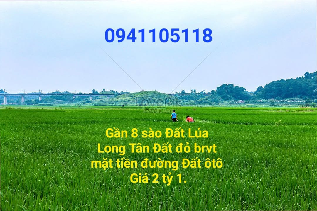 Bán đất lúa 8 sào tại xã Long Tân, Đất Đỏ, Bà Rịa - Vũng Tàu giá 2.1 tỷ - Cơ hội đầu tư hấp dẫn!