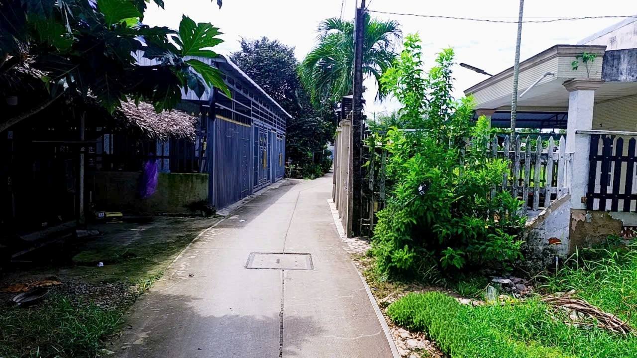 Đất nền Hậu Nghĩa, Đức Hòa 110m² giá 1.25 tỷ - Đầu tư sinh lời ngay!