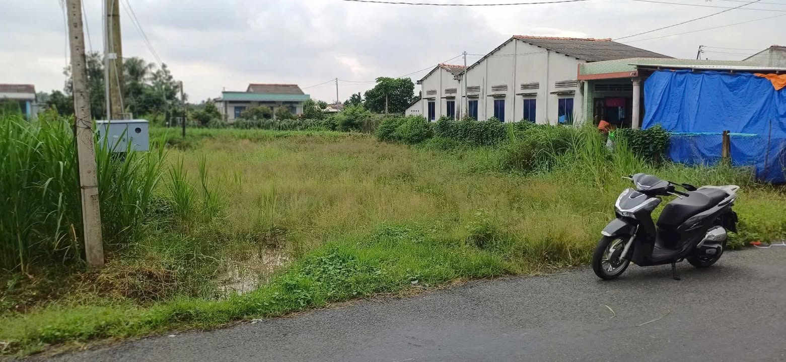 Đất thổ cư 1000m² mặt tiền đường Kênh T2, Long Trì - Giá 2.199 tỷ, thuận tiện giao thông!