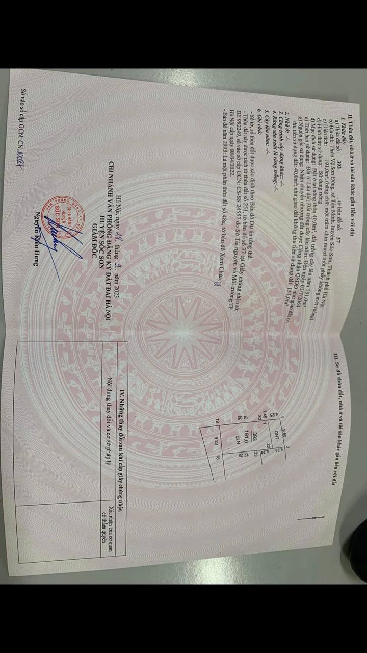 Đất nền chính chủ Xóm Chùa, Sóc Sơn 191m² giá chỉ nhỉnh 1 tỷ