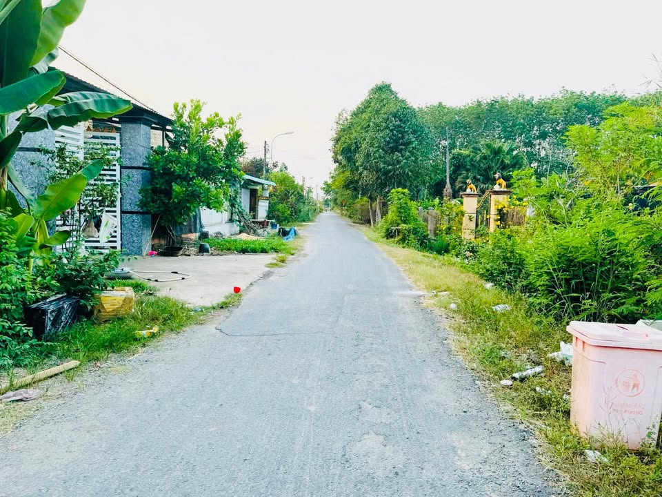 Đất nền 1446m² Trung Lập Thượng, Củ Chi - Giá ngộp 4.2 tỷ, vị trí đẹp!