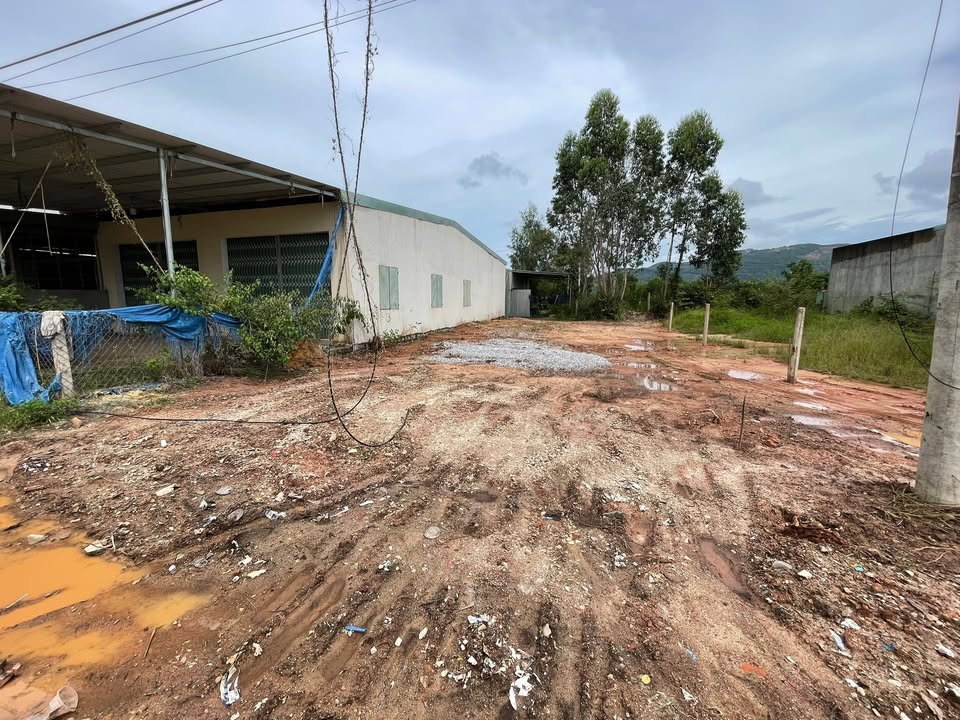 Đất thổ cư xã Phước Thành 210m² giá 1 tỷ - Cần bán gấp!