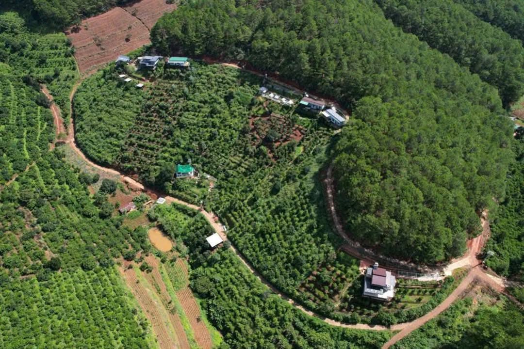 Đất nền Nam Ban Lâm Hà 1100m² giá 820 triệu - Không khí trong lành, view đồi thông xanh!