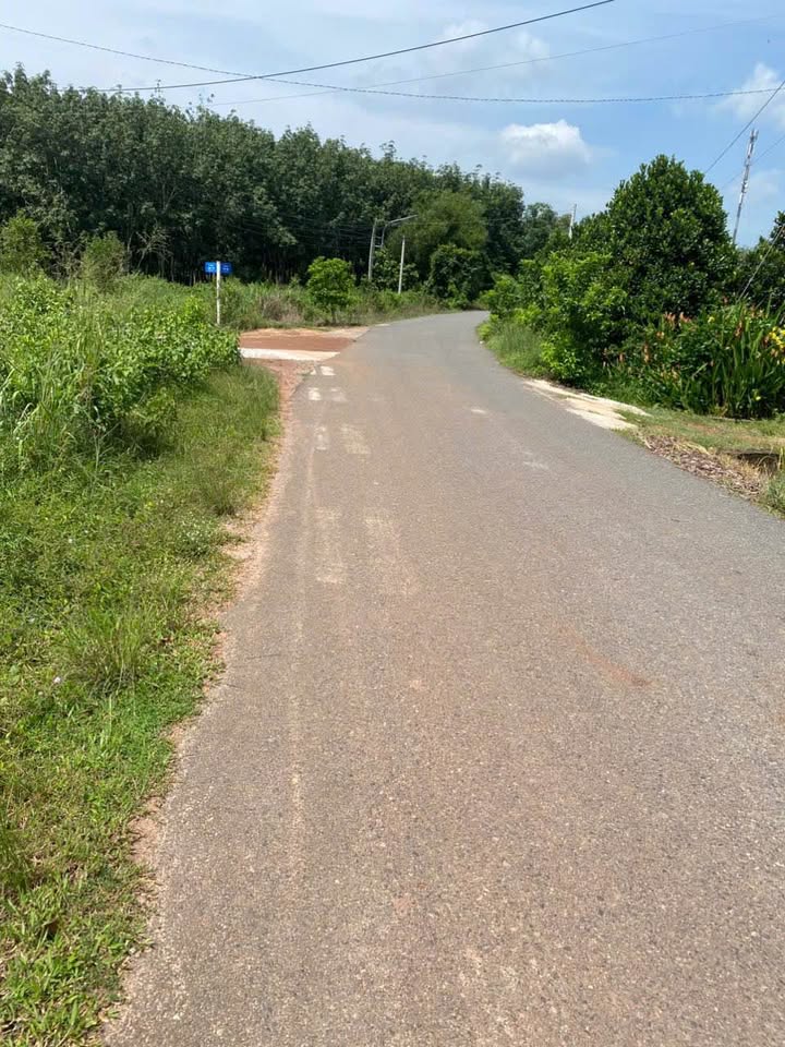 Đất thổ cư Long Nguyên 276m² giá 800 triệu - Đầu tư sinh lời ngay!