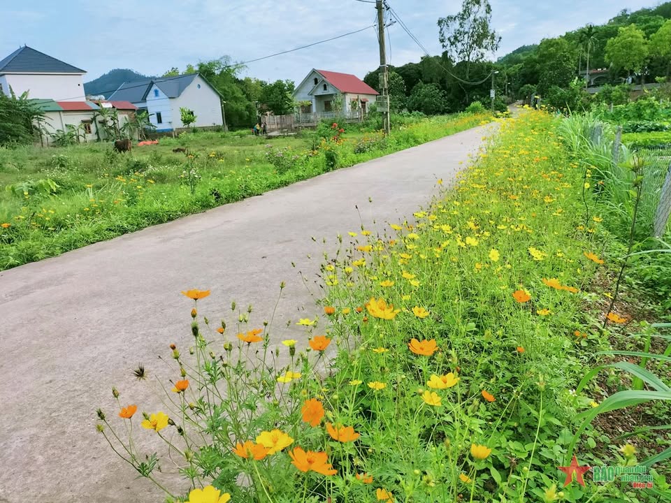 Đất nền xã Hòa Phú, Chư Păh 400m² giá chỉ 240 triệu - Cơ hội đầu tư tuyệt vời!