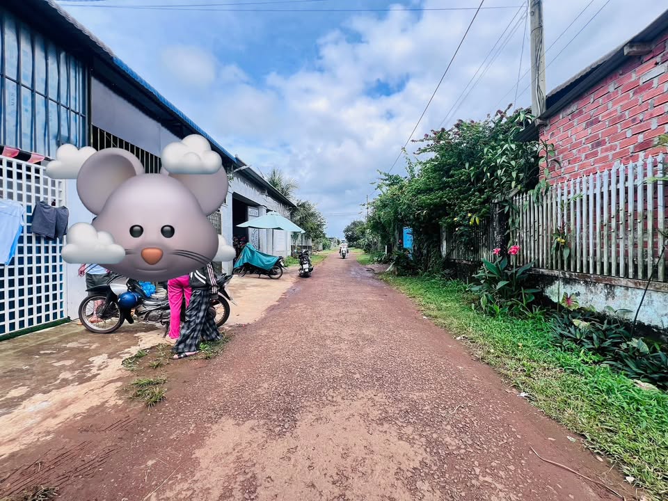 Nhà riêng đường Phan Đình Phùng, Pleiku 125m² giá 1.35 tỷ - Dọn vào ở ngay!