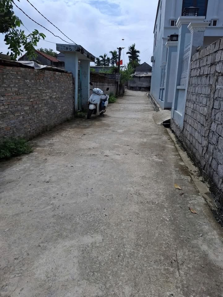 Đất nền Nga Văn 100m² giá 200 triệu - Cơ hội đầu tư sinh lời nhanh!