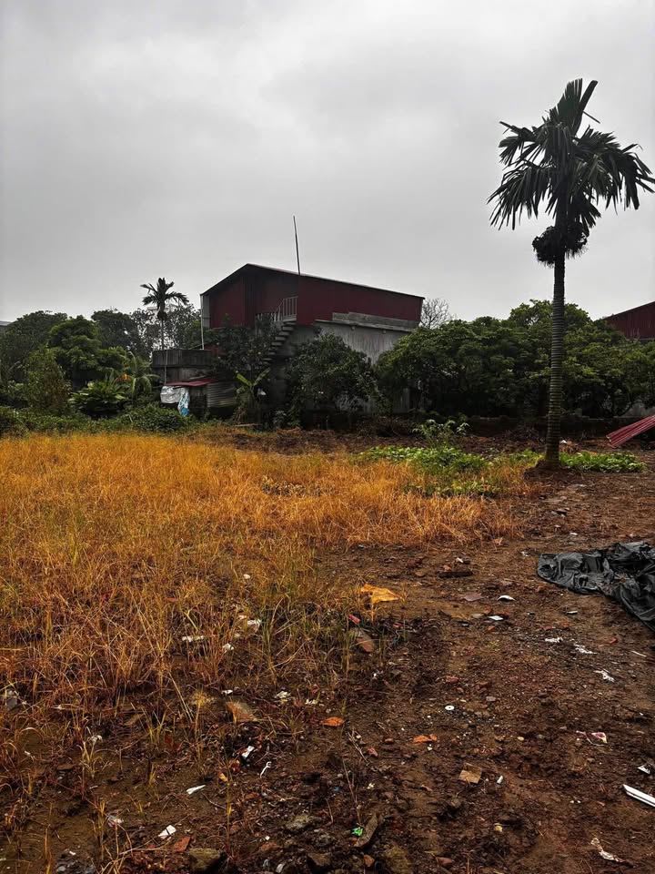 Đất nền tại phường Lam Sơn, TP Hưng Yên 86m² giá 1.2 tỷ - Cơ hội đầu tư tuyệt vời!