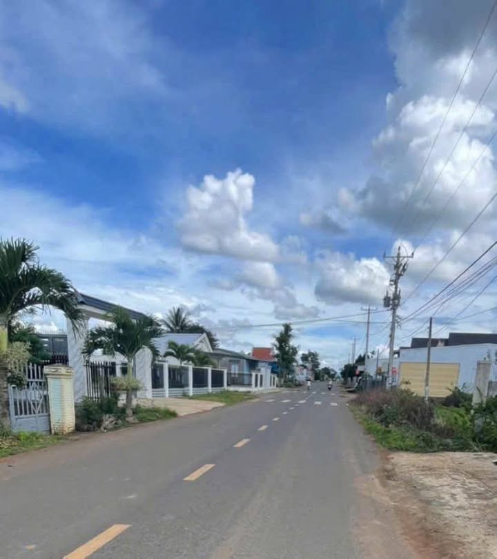 Đất mặt tiền đường nhựa DH3 Tân Phú, Đức Trọng 310m² chỉ 1.75 tỷ - Cơ hội đầu tư tuyệt vời!