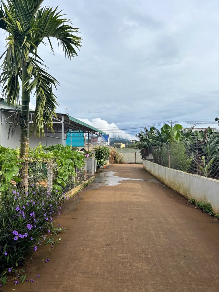 Đất thổ cư Hiệp Thạnh, Đức Trọng 207m² giá 1.3 tỷ - Cơ hội đầu tư hiếm có!