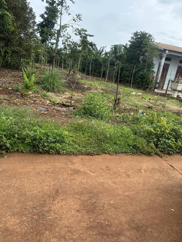 Đất thổ cư xã Phú Xuân 675m² giá 61.2 tỷ - Vị trí đắc địa, tiện ích đầy đủ!