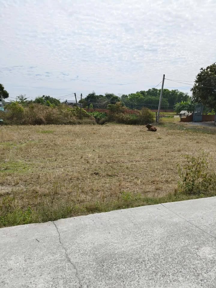 Đất thổ cư Hòa Khánh 429m² giá 2 tỷ - Vị trí mặt tiền đắc địa!