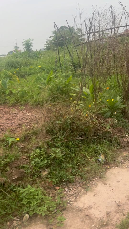 Đất thổ cư 100m² tại Hồng Tiến, Phổ Yên - Giá 2.1 tỷ, đầu tư sinh lời!