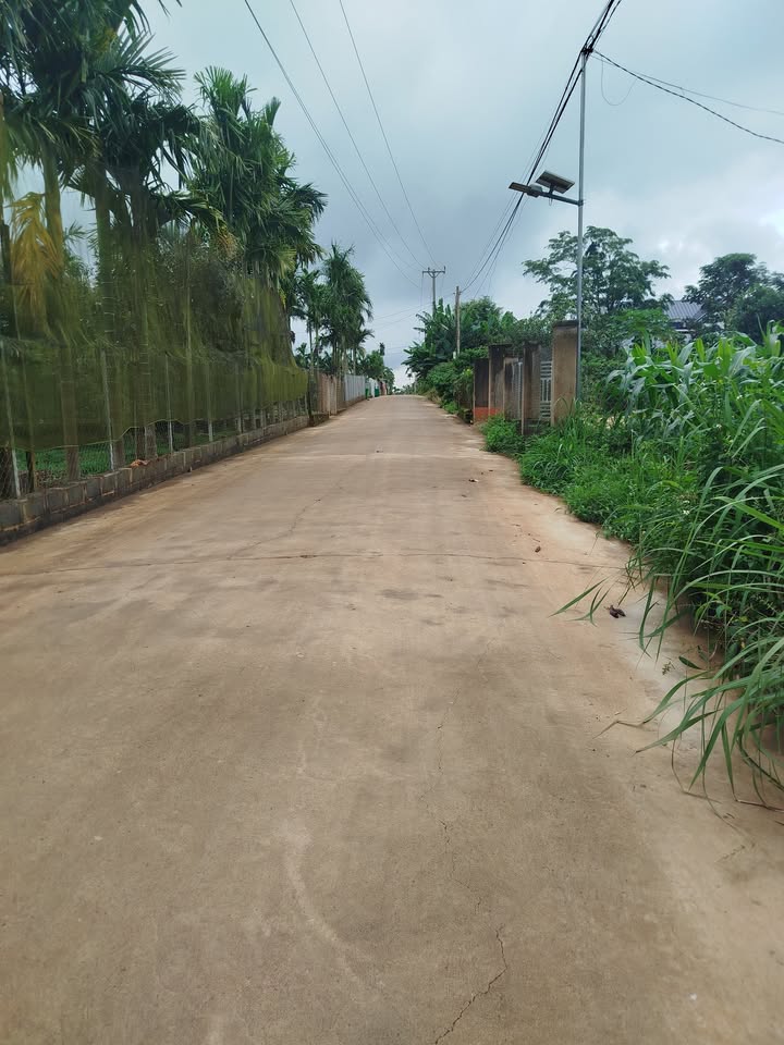 Đất thổ cư 600m² tại Thống Nhất, Buôn Hồ - Giá chỉ 810 triệu!