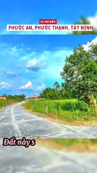 Đất thổ cư Gò Dầu 200m² giá 550 triệu - Cơ hội an cư tuyệt vời!