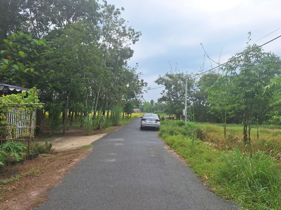 Đất nền 10x50m Lộc Ninh Dương Minh Châu - Chỉ 750 triệu, đầu tư sinh lời!