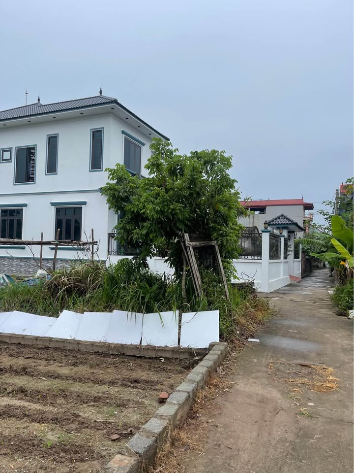 Đất thổ cư Hồng Vân, Thường Tín 60m² giá 2.69 tỷ - Sổ đỏ chính chủ, ô tô vào tận nơi!