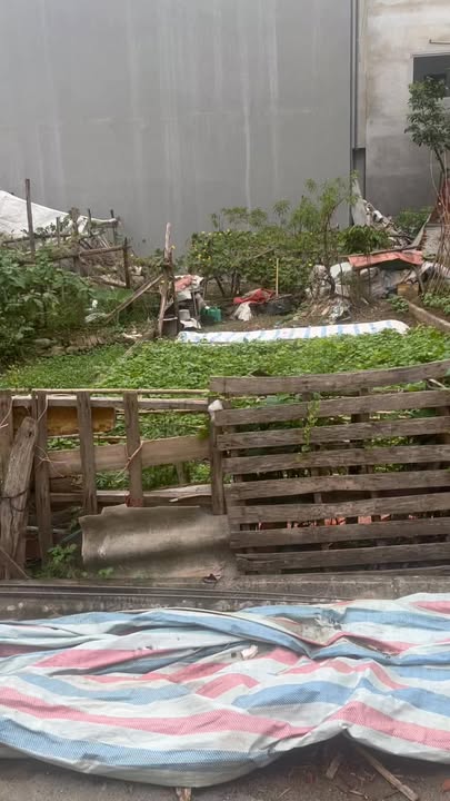 Đất nền Trạm Trôi 60m² giá 7 tỷ - Vị trí vàng, đầu tư sinh lời cao!