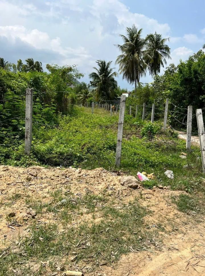 Đất nền Vạn Hưng 71m² giá chỉ 490 triệu - Đầu tư sinh lời cao!