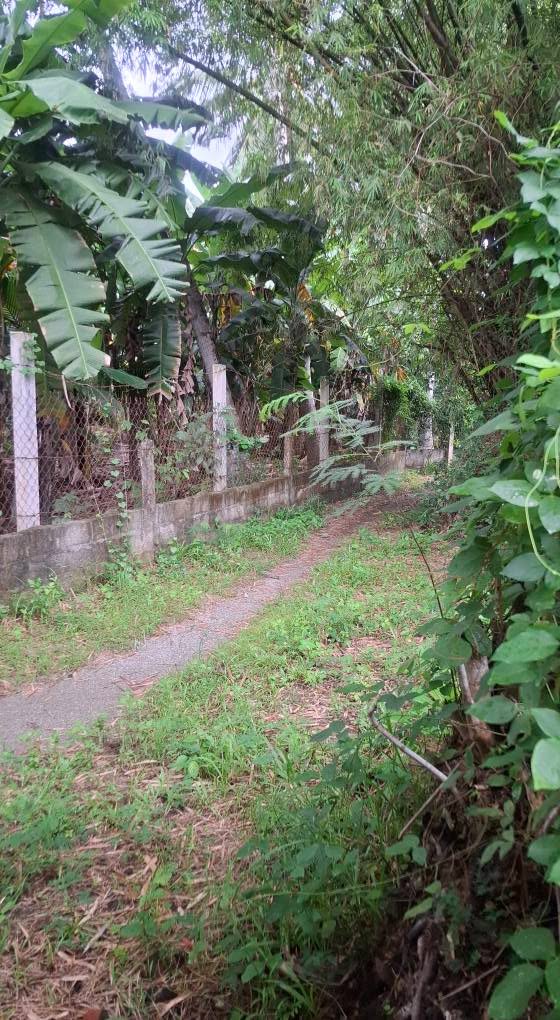 Đất nền tại Hoài Nhơn, Bình Định - Diện tích từ 100m² giá chỉ từ 270 triệu!