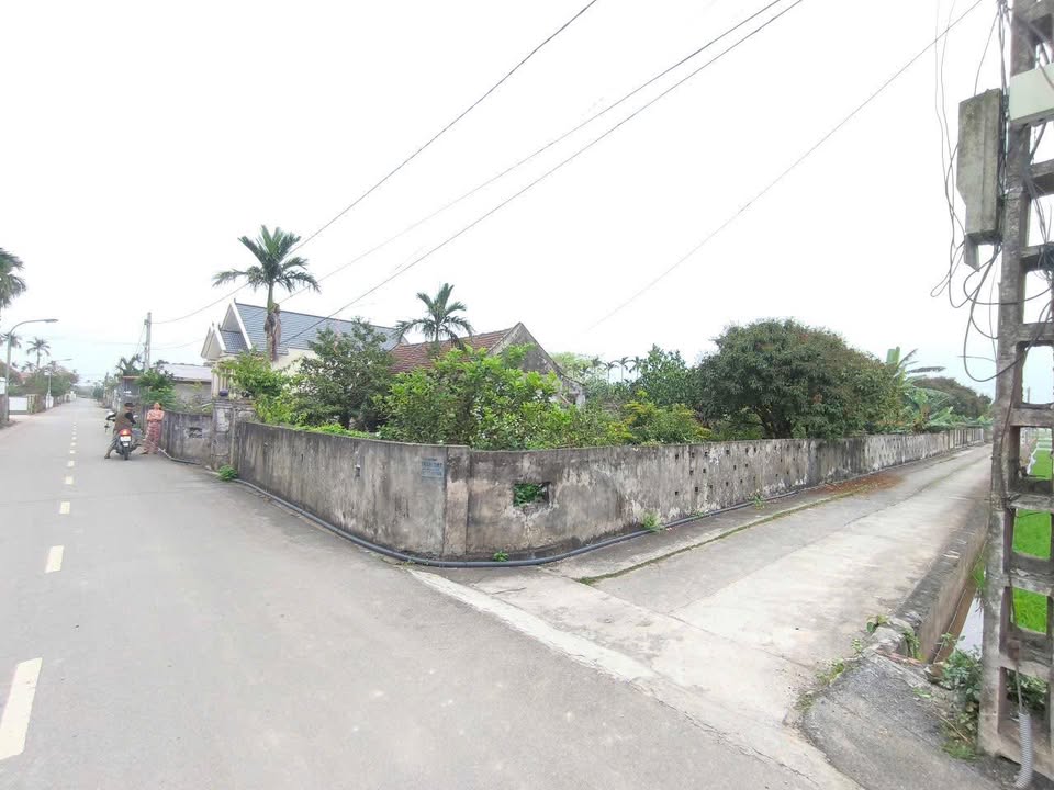 Đất nền Làng Đại Gia, Nghĩa Phú, 318.5m² chỉ 800 triệu - Đầu tư sinh lời ngay!