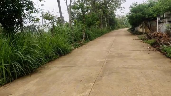 Đất nền Kỳ Phú Nho Quan 3851m² - Cơ hội đầu tư tuyệt vời!