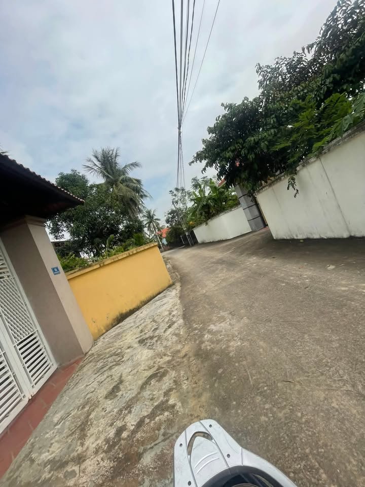 Đất nền chính chủ Hoằng Châu 150m² giá 600 triệu - Đường ô tô tránh nhau thoải mái!