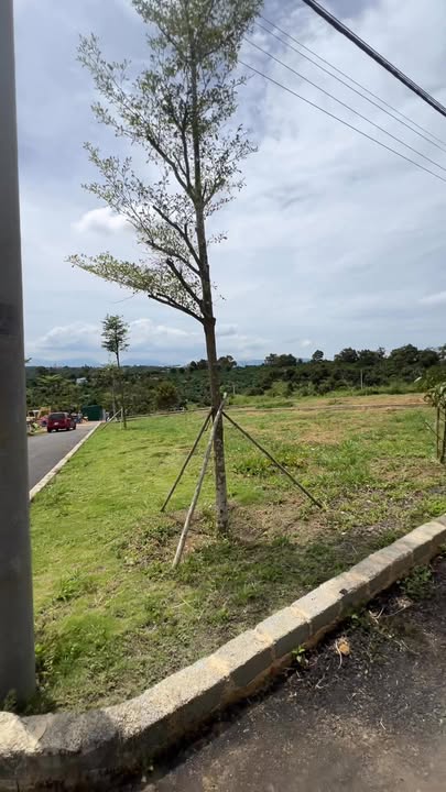 Đất nền Lâm Hà 365m² giá 1.69 tỷ - Sổ đỏ chính chủ, xây dựng tự do!