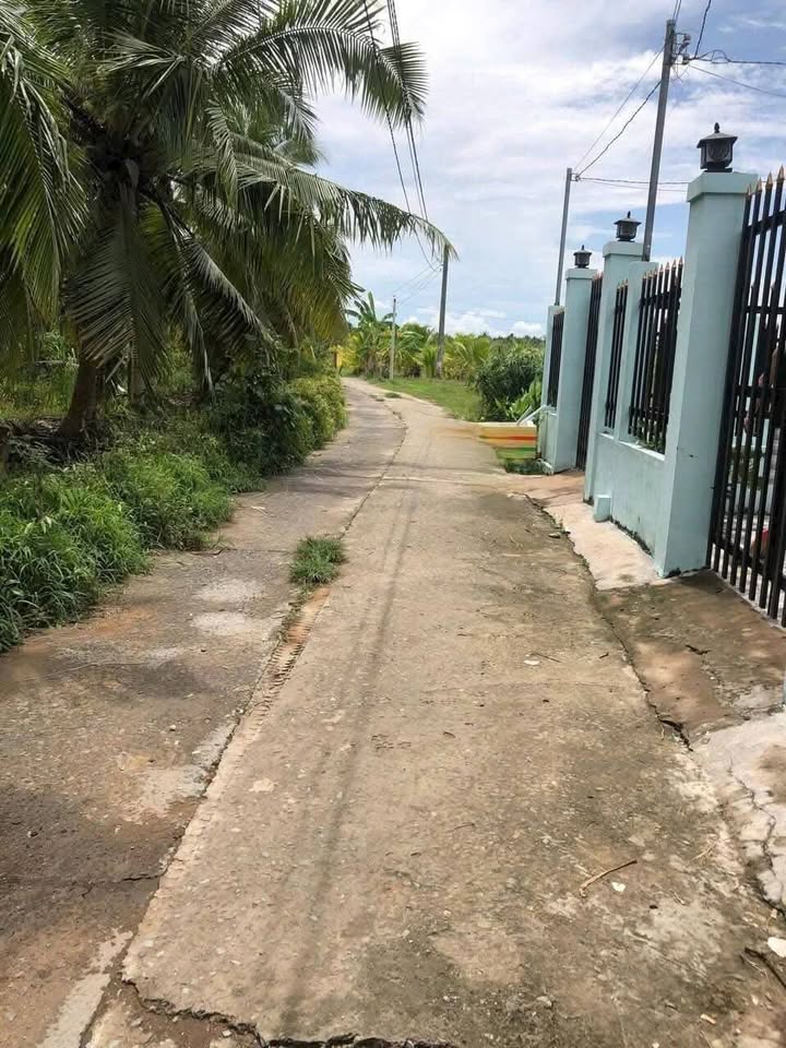 Đất Phú Hưng, Bến Tre 496,5m² giá 1,05 tỷ - Sổ đỏ chính chủ, đầu tư sinh lời!