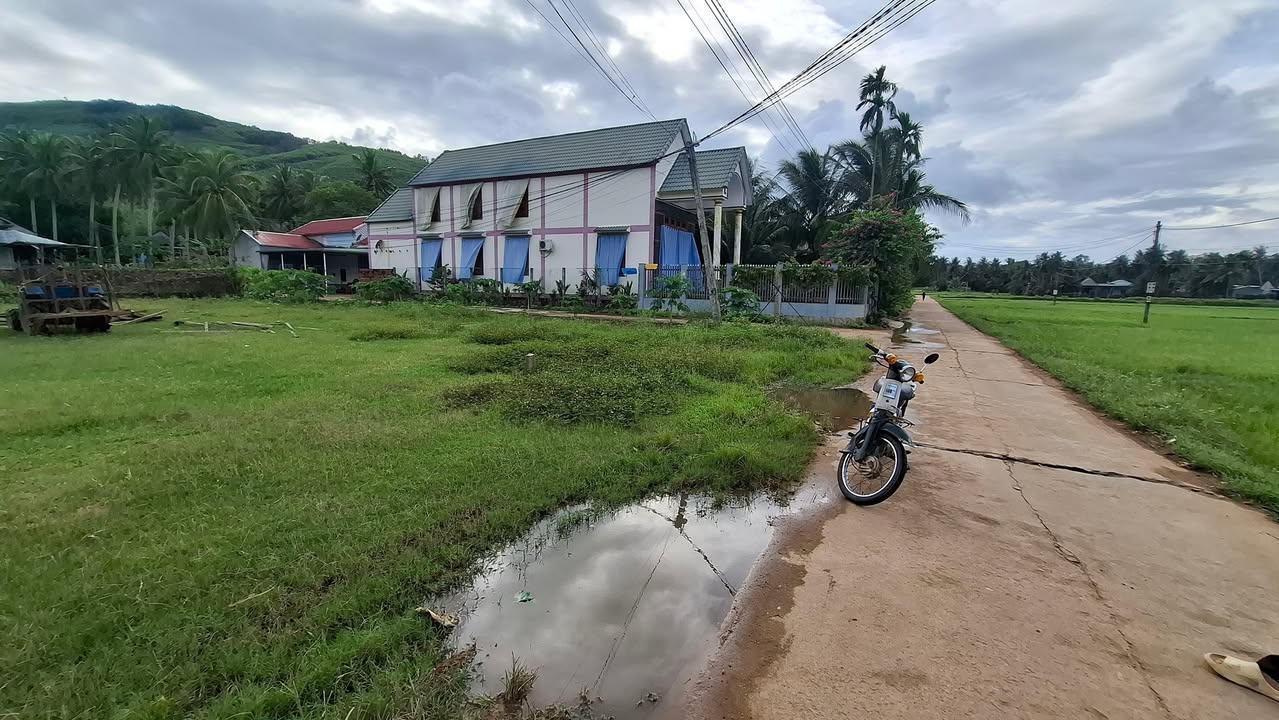 Đất nền Bồng Sơn - 175m² giá chỉ 600 triệu - Vị trí thông thoáng, thuận tiện!