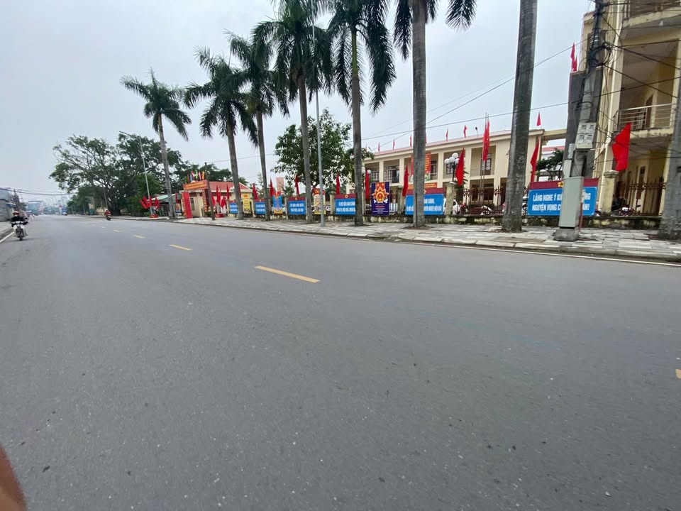 Đất nền dự án Lê Ích Mộc, Thủy Nguyên 65m² giá chỉ 790 triệu - Tiềm năng phát triển mạnh mẽ!