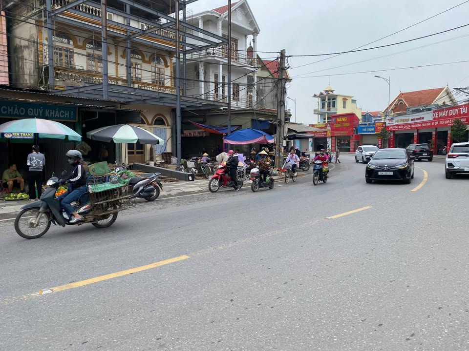 Đất nền Lê Ích Mộc, Thủy Nguyên 65m² giá chỉ 790 triệu - Cơ hội đầu tư sinh lời!