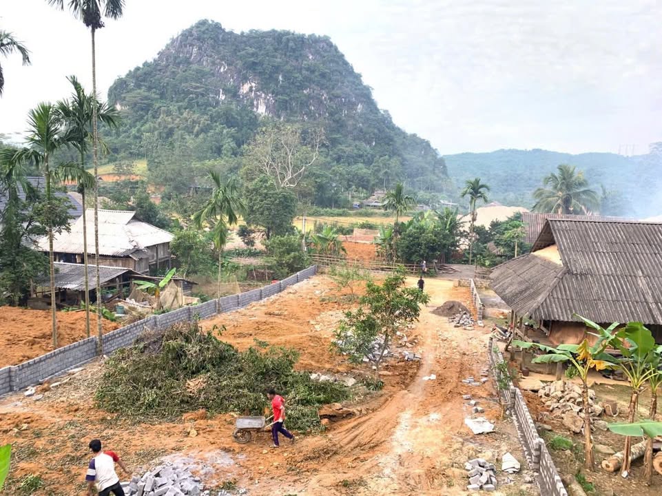 Đất Farm 600m² Suối Hoa, Tân Lạc, Hòa Bình - Giá chỉ 1 tỷ VND, Đầu tư sinh lời!