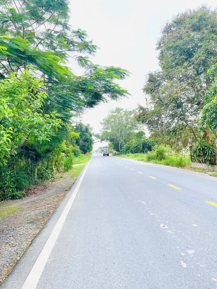 Đất nền An Phú Củ Chi 3000m² - Vị trí đẹp, thổ cư sẵn sàng xây dựng!