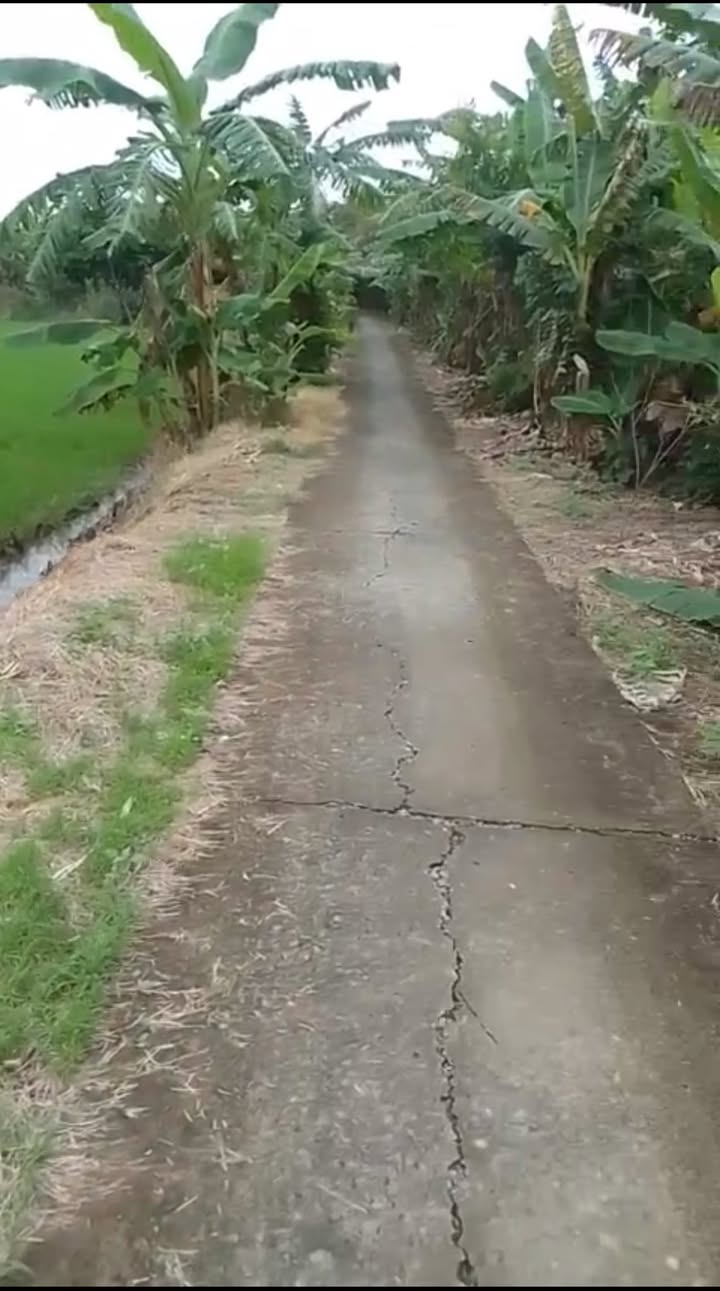 Đất nền Tân Hòa, Tân Thạnh 7000m² giá 2.24 tỷ - Đầu tư chia lô hấp dẫn!