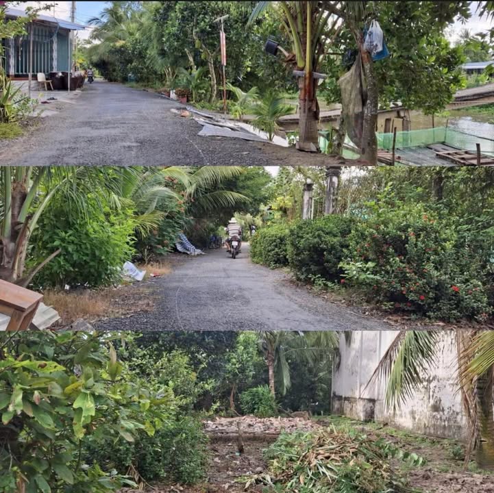 Đất nền Tân Bình 125m² giá 365 triệu - Sổ đỏ chính chủ, lô góc đẹp!