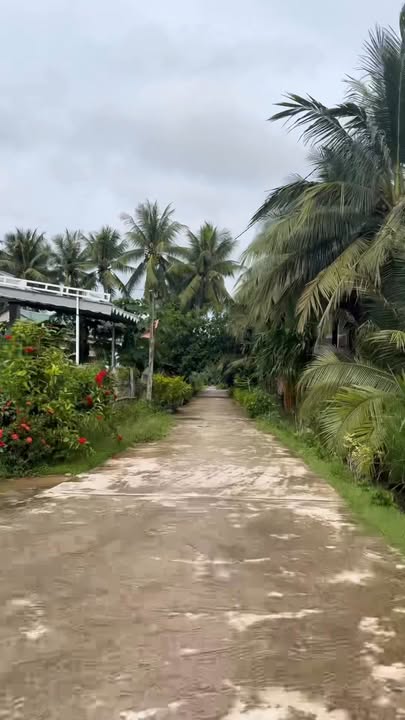 Đất nền Vĩnh Phụng 2, Hoài Xuân 184m² giá 459 triệu - Cơ hội đầu tư tốt!