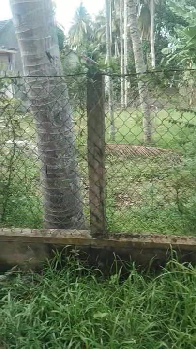 Đất nền Hoài Thanh 80m² giá 400 triệu - Sổ đỏ chính chủ, đường ô tô vào tận nơi!