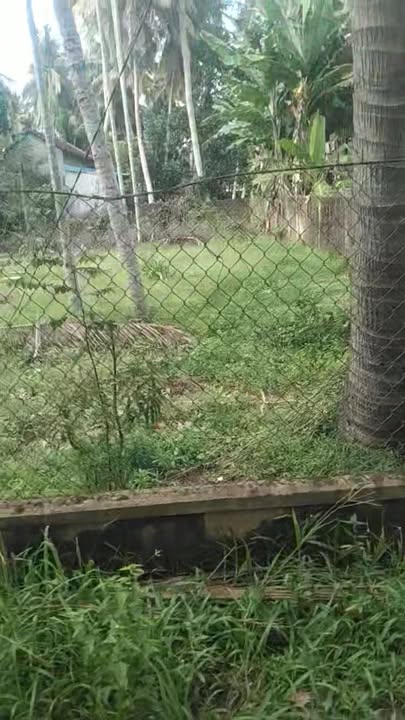 Đất nền Hoài Thanh 80m² giá 400 triệu - Cơ hội đầu tư tuyệt vời!