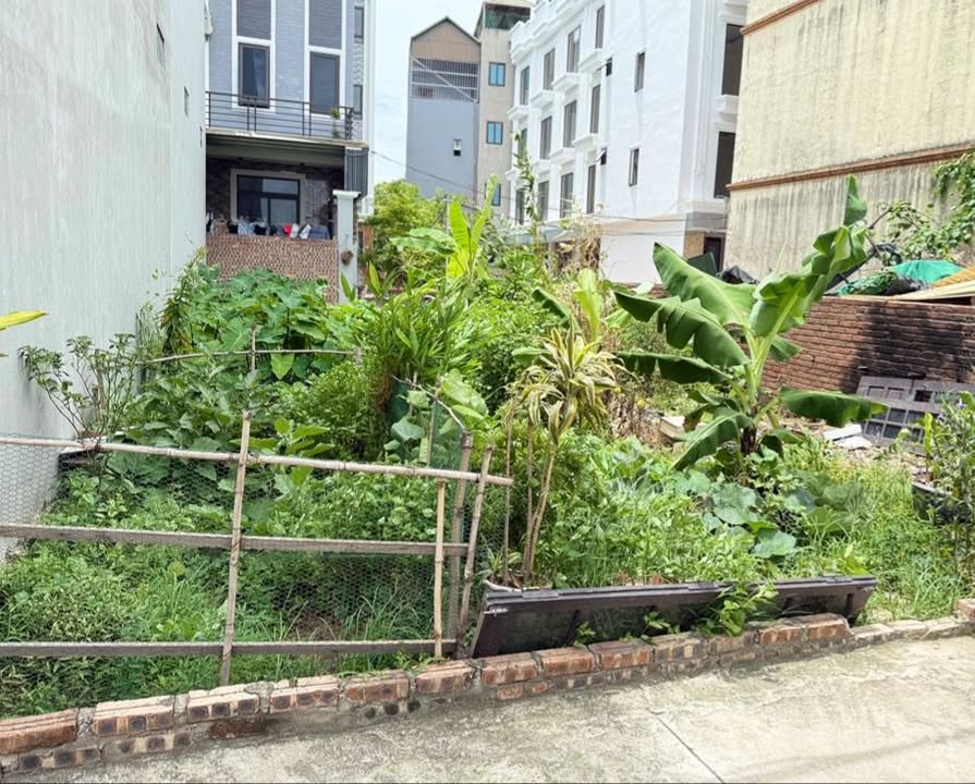 Đất vàng Thạch Bàn Long Biên 64m² giá 7.55 tỷ - Cơ hội đầu tư không thể bỏ qua!