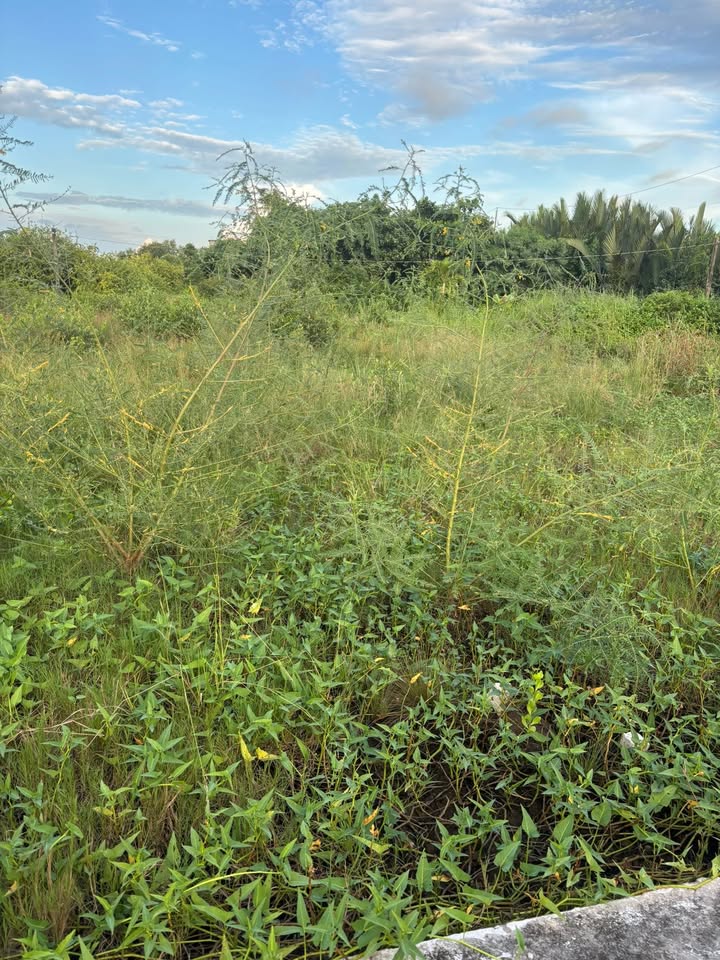 Đất nền Bạc Liêu 112m² giá 240 triệu - Cơ hội đầu tư tuyệt vời!