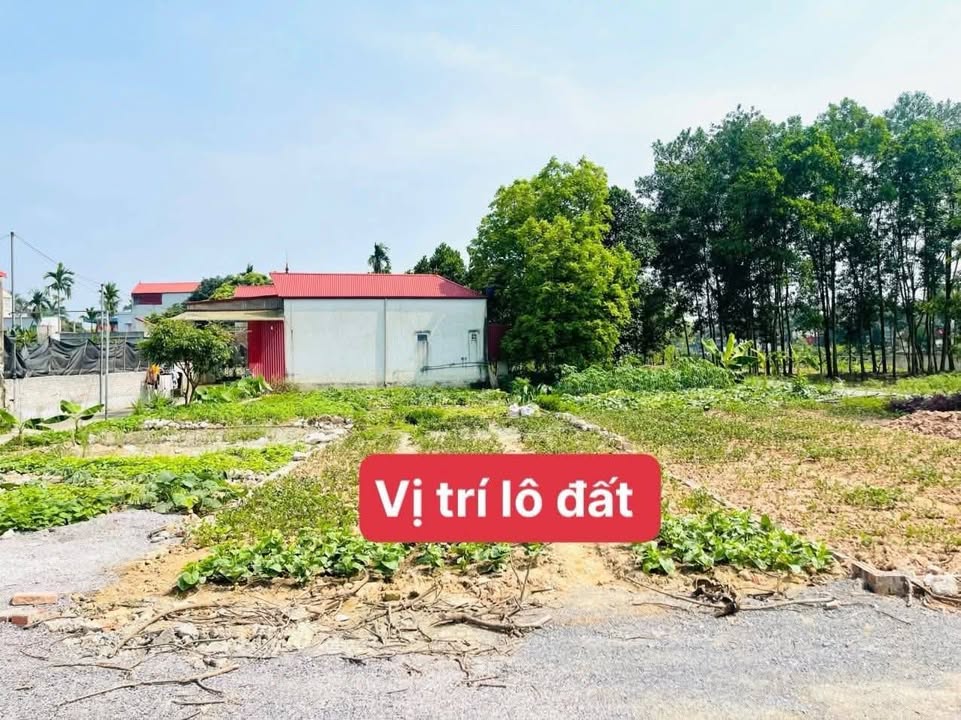 Đất nền Hợp Tiến, Mỹ Đức 83m² giá 1.1 tỷ - Cơ hội đầu tư hấp dẫn!