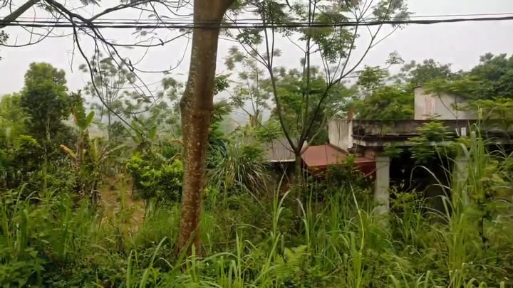 Đất nền Kỳ Phú Nho Quan 3851m² - Cơ hội đầu tư sinh lời hấp dẫn!